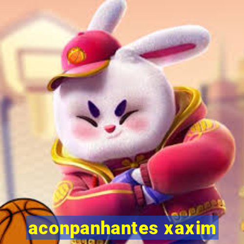 aconpanhantes xaxim